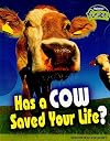 Has a Cow Saved Your Life? : Scientific Enquiry