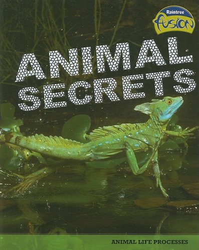 Cover of Animal Secrets
