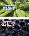 How Does A Plant Become Oil? (Raintree Perspectives: How Does It Happen?)