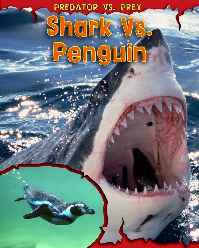 Cover of Shark Vs. Penguin