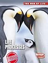 Life Processes (Raintree Freestyle: The Web of Life)
