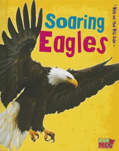 Cover of Soaring eagles