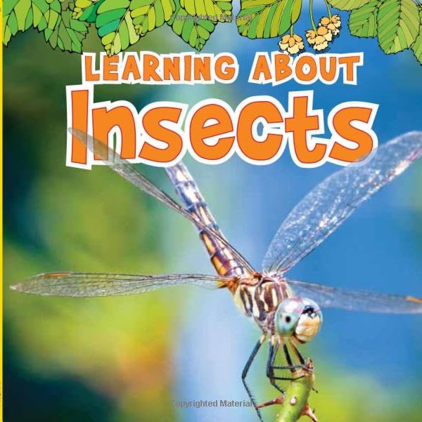 Cover of Learning about Insects