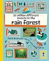30 Million Different Insects in the Rainforest (The Big Countdown)