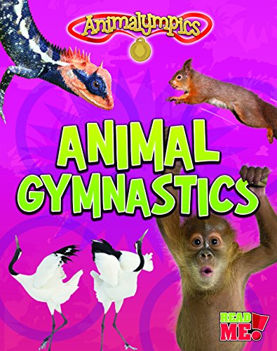 Cover of Animal Gymnastics