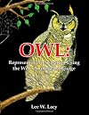 Owl: Representing Information Using the Web Ontology Language