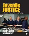 Juvenile Justice: A Guide to Theory, Policy, and Practice