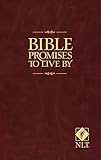 Bible Promises To Live By