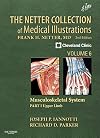 The Netter collection of medical illustrations. a compilation of paintings / Volume 6, Part I, Musculoskeletal system. Upper limb