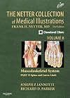 The Netter collection of medical illustrations. a compilation of paintings / Volume 6, Part II, Musculoskeletal system. Spine and lower limb