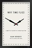 Why Time Flies A Mostly Scientific Investigation