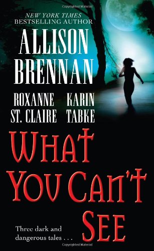 What You Can't See book cover
