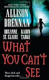 What You Can't See (3-in-1 Anthology)