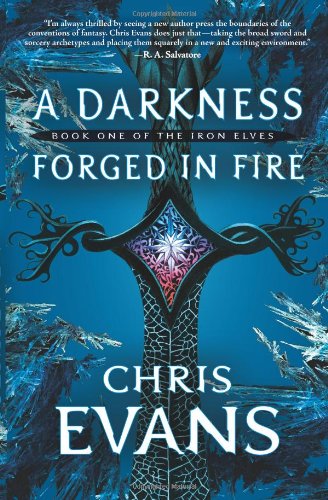 A Darkness Forged in Fire book cover