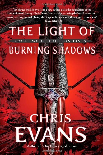 The Light of Burning Shadows book cover