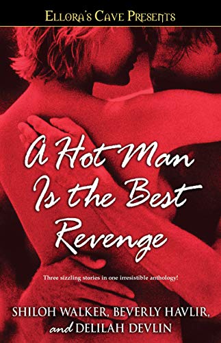 A Hot Man Is the Best Revenge book cover