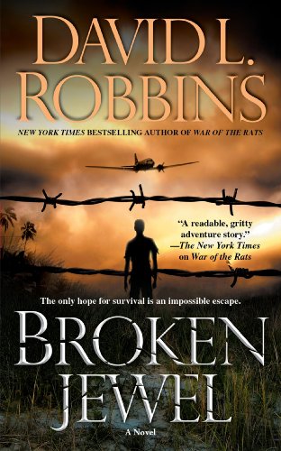 Broken Jewel book cover