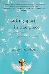 Falling Apart in One Piece: One Optimist's Journey Through the Hell of Divorce