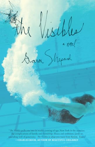 The Visibles / All The Things We Didn't Say book cover