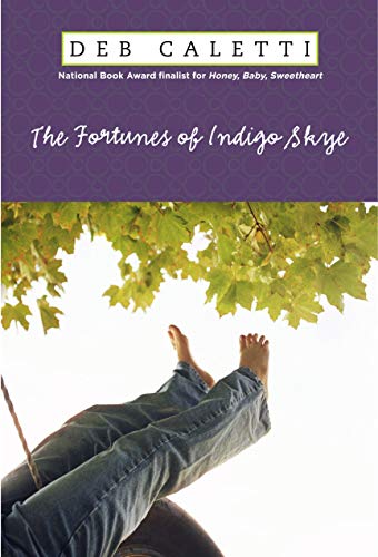 The Fortunes of Indigo Skye book cover