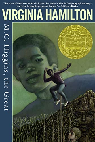 M.C. Higgins, the Great book cover