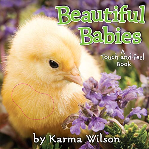 Beautiful Babies book cover