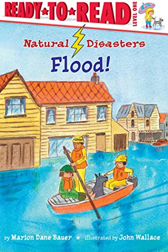 Flood! book cover