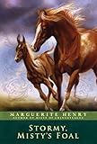 Stormy, Misty’s Foal