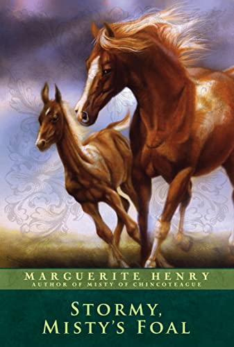 Stormy, Misty's Foal book cover