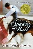 Shadow of a Bull