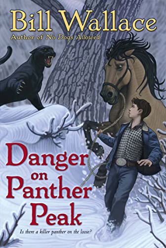 Danger on Panther Peak book cover