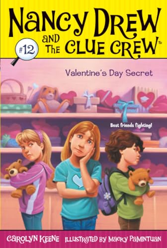 Valentine's Day Secret book cover