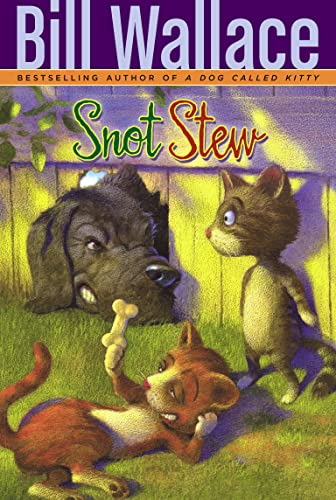 Snot Stew book cover