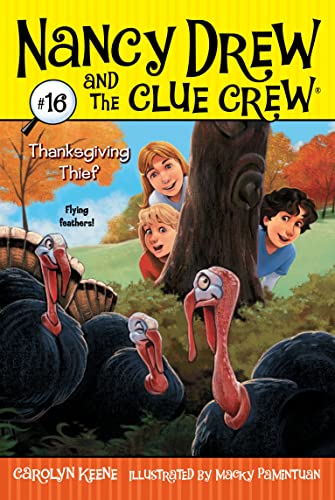 Thanksgiving Thief cover