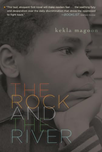 The Rock and the River book cover
