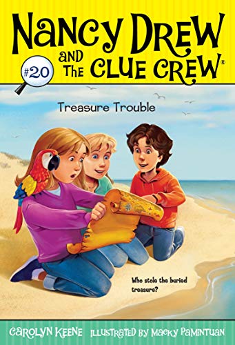 Treasure Trouble book cover