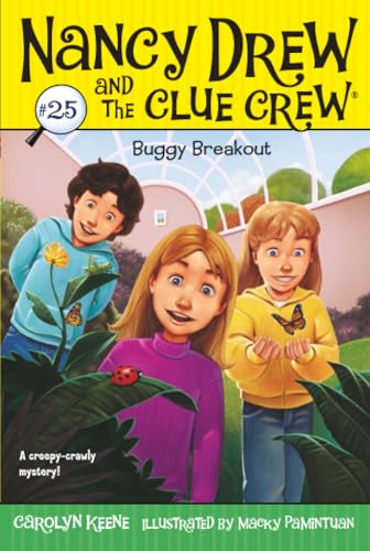 Buggy Breakout book cover