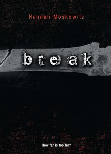 Break book cover