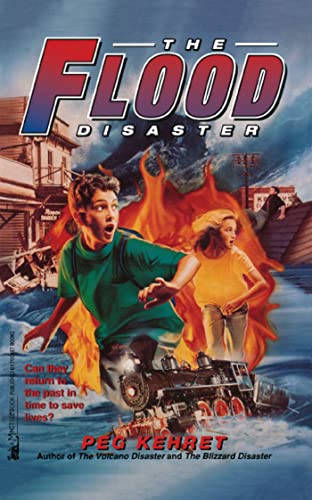 Cover of Flood Disaster