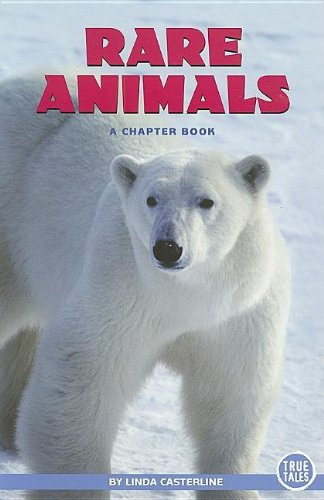 Cover of Rare Animals