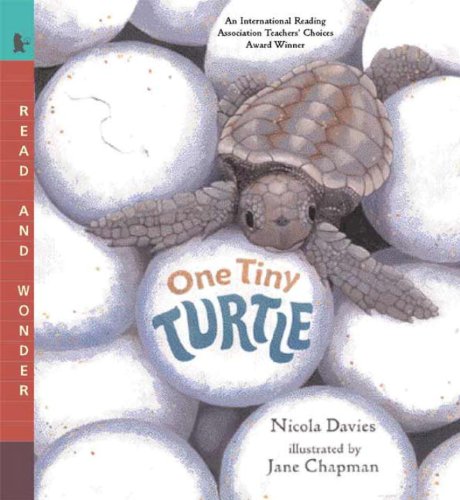 One Tiny Turtle (By: Jane Chapman,Nicola Davies) cover