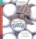 One Tiny Turtle Read And Wonder