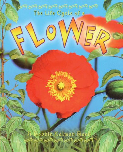 Cover of Life Cycle of a Flower