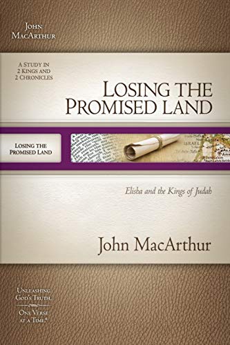 Losing the Promised Land: Elisha and the Kings of Judah book cover