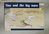 Tiny and the Big Wave