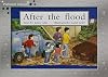 After the Flood: Individual Student Edition Green (Levels 12-14)