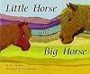Little Horse and Big Horse (Rigby Flying Colors)