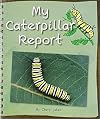 My Caterpillar Report (Rigby Flying Colors)