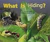 What Is Hiding? (Rigby Flying Colors)
