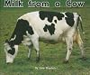 Milk from a Cow (Rigby Flying Colors)